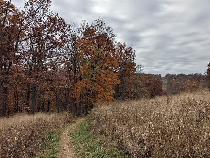 A Quick Handshake With the Appalachian Trail