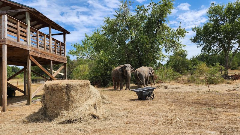 A Retirement Ranch in Southeastern Oklahoma