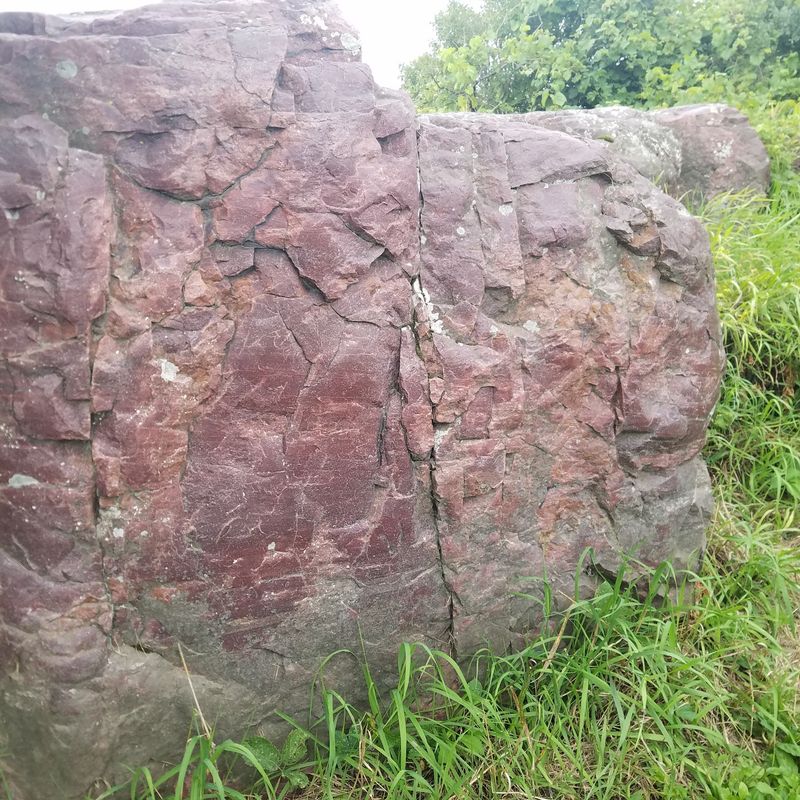 A Rubber Blanket Uncovered Thousands Of Hidden Carvings A Rubber Blanket Uncovered Thousands Of Hidden Carvings