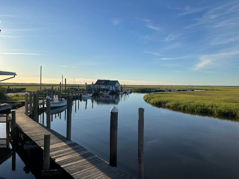 A Rustic Shanty Rising From the Marsh