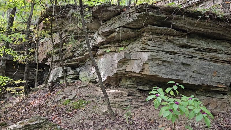 A Sandstone Riddle on Poteau Mountain