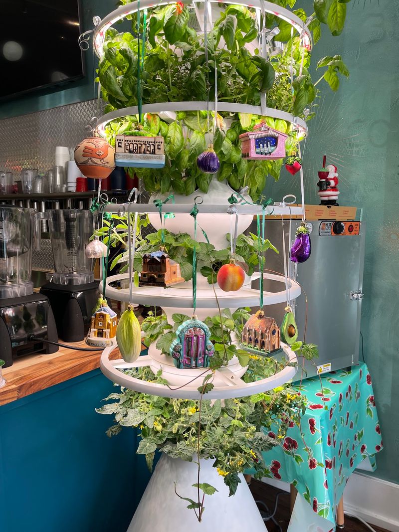 A Seven-Foot Garden Says Hello Before Anyone Else Does