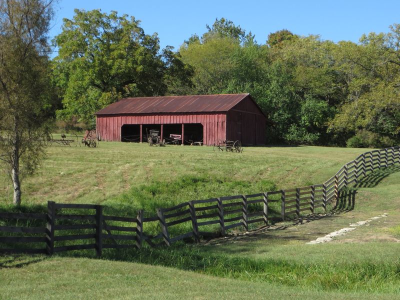 A Sheep Farm That Grew Into A Massive Business