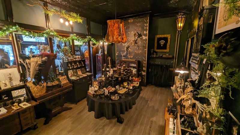 A Shop That Treats Every Day Like October 31st A Shop That Treats Every Day Like October 31st