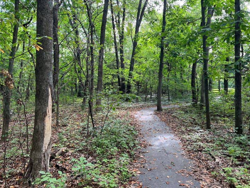 A Short Paved Path Makes Nature Easy For Everyone A Short Paved Path Makes Nature Easy For Everyone