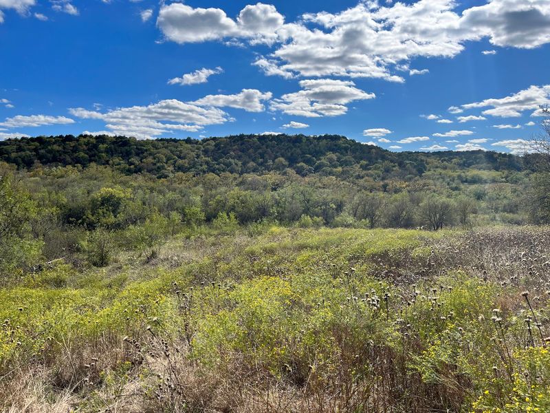 A Slice of Hill Country Near Downtown A Slice of Hill Country Near Downtown