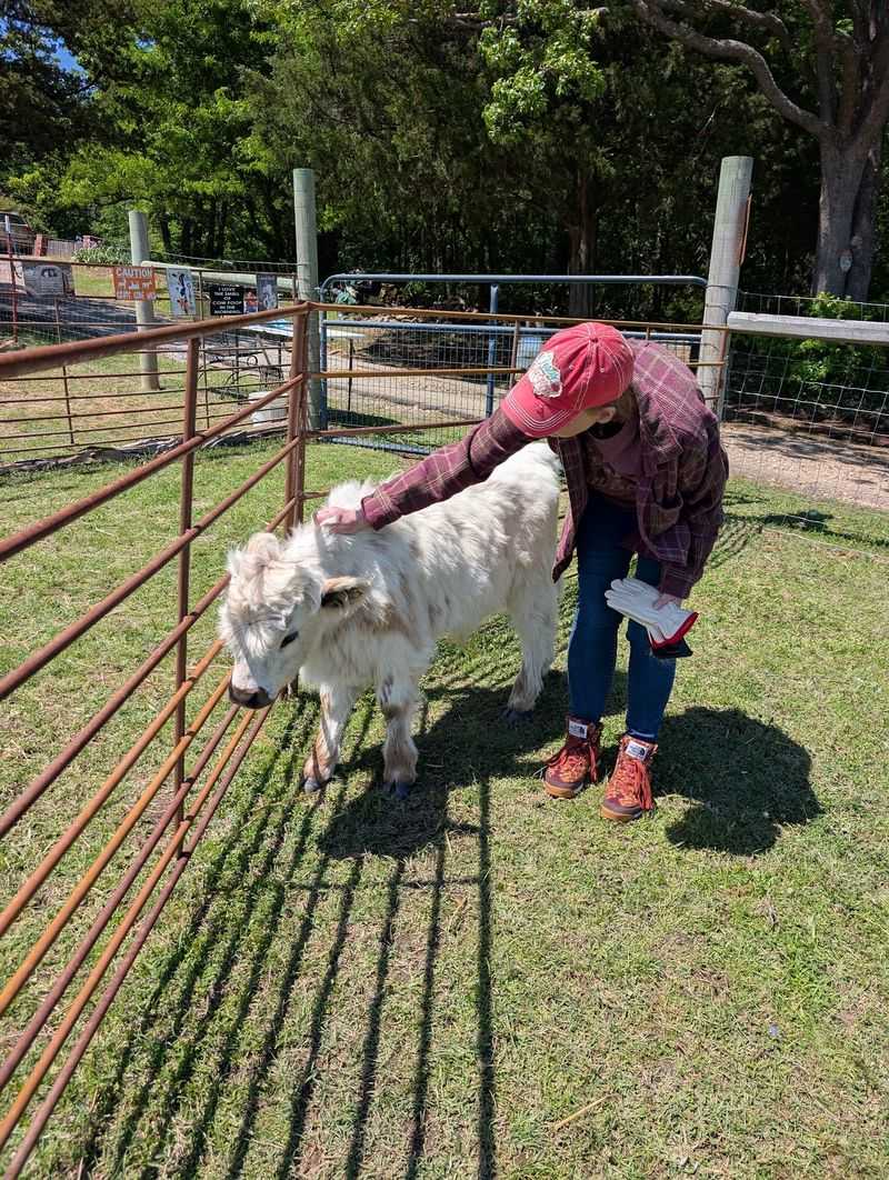 A Small Farm With Big Fluffy Neighbors A Small Farm With Big Fluffy Neighbors