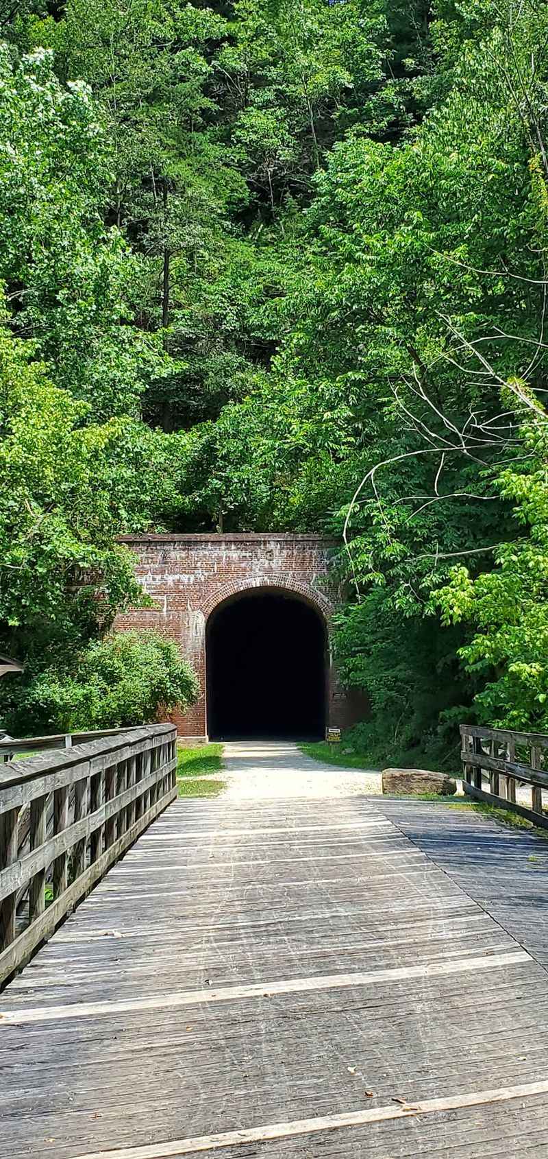 A Soft Verdict From the Far Side of the Tunnel A Soft Verdict From the Far Side of the Tunnel