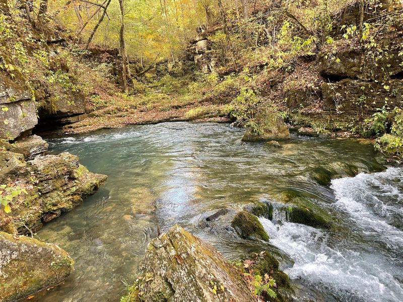 A Spring So Big It Earned A National Title