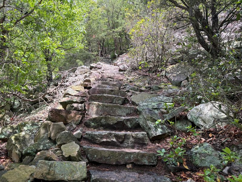 A Staircase Born From a Flood and a Paycheck