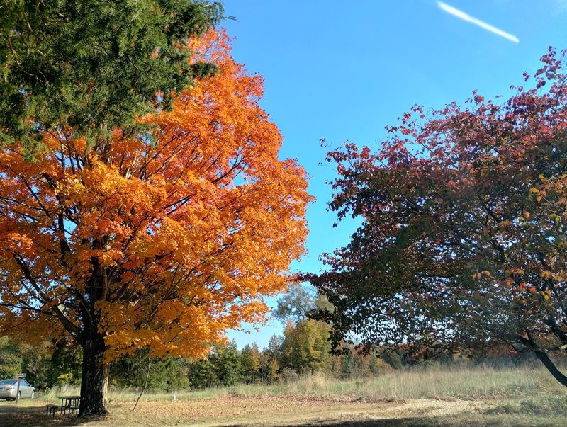 A Sunday Drive Through Fields and Forest