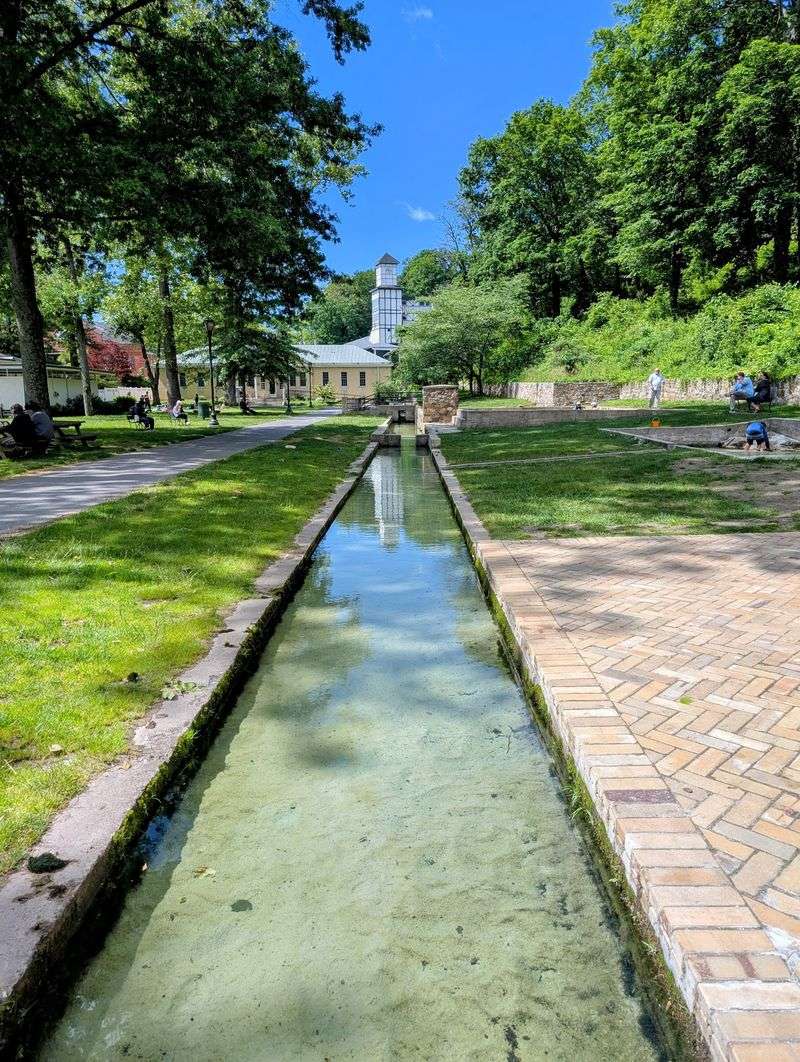 A Swimming Pool Fed by the Springs A Swimming Pool Fed by the Springs