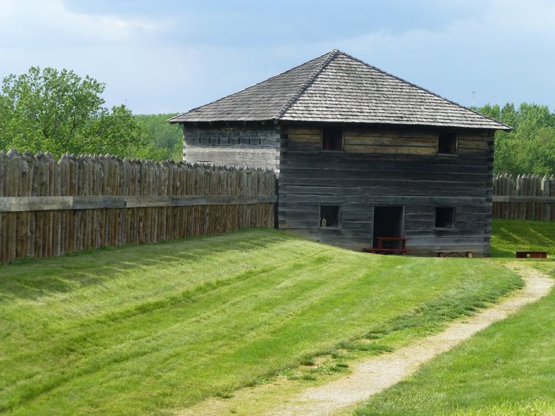 A Timber Giant Above The Maumee