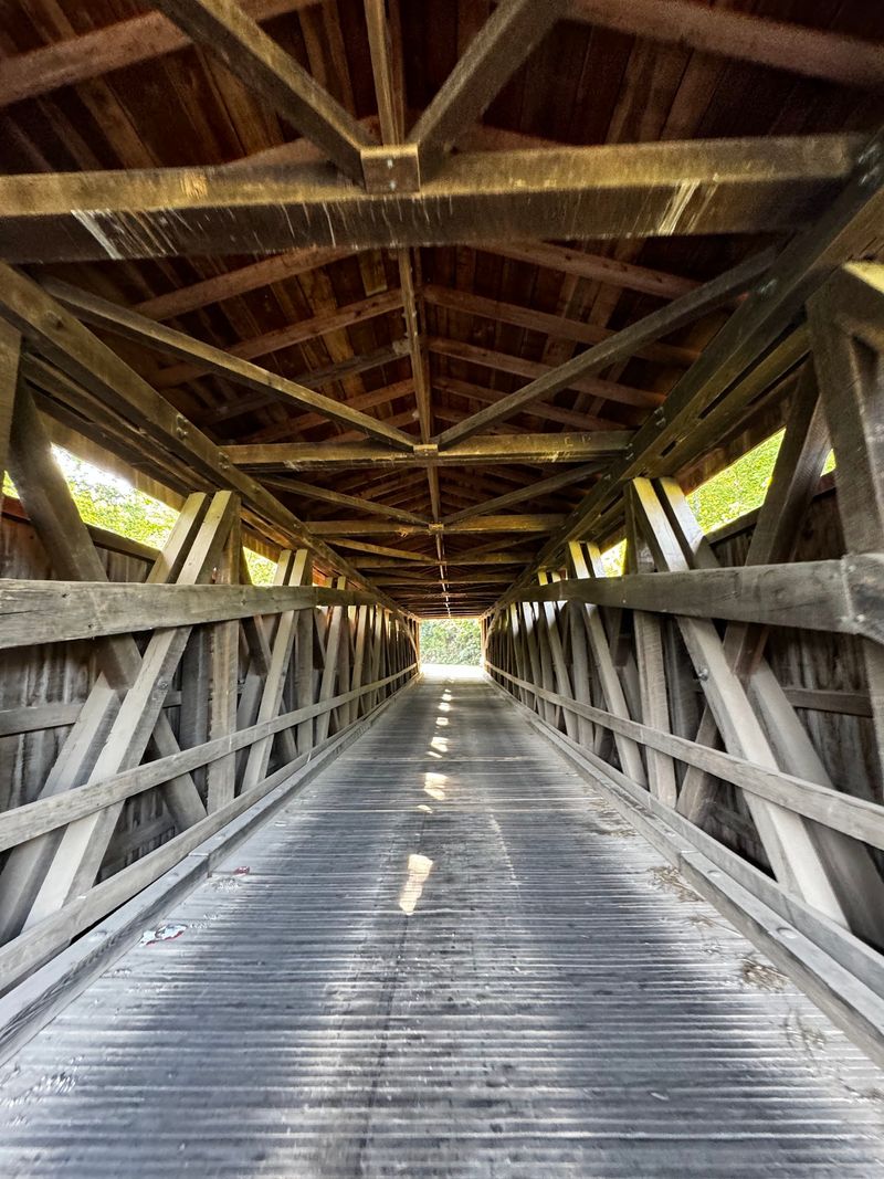 A Timber Tunnel You Can Still Drive Right Through A Timber Tunnel You Can Still Drive Right Through