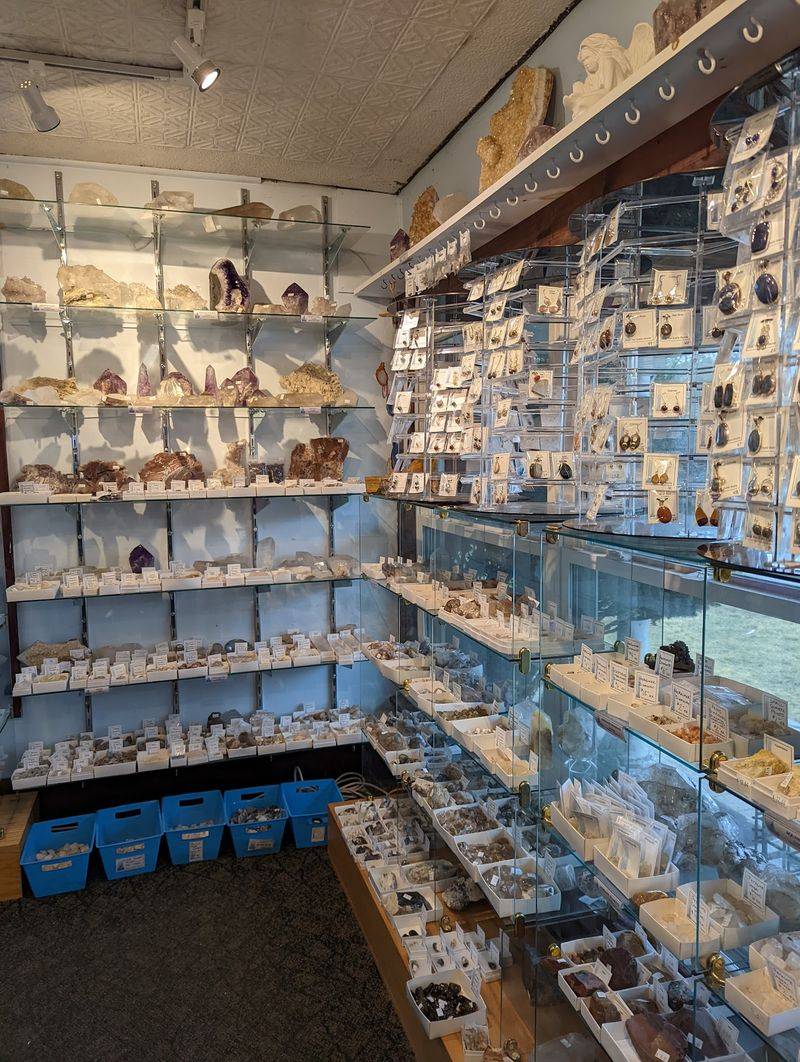A Tiny Shop With a Giant Rock Collection