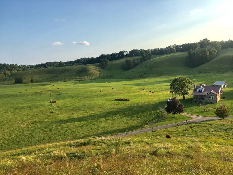 A Wagyu Farm Waiting Down A Wayne County Road