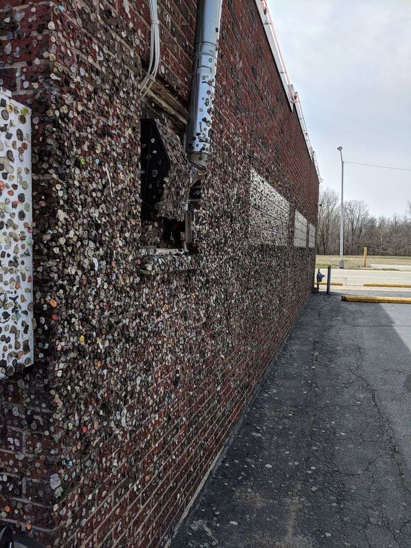 A Wall That Keeps Growing One Chew at a Time