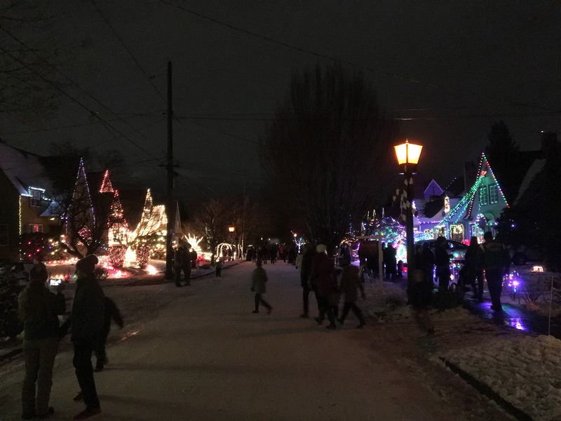 A Whole Neighborhood Agreed To Be Festive Together A Whole Neighborhood Agreed To Be Festive Together