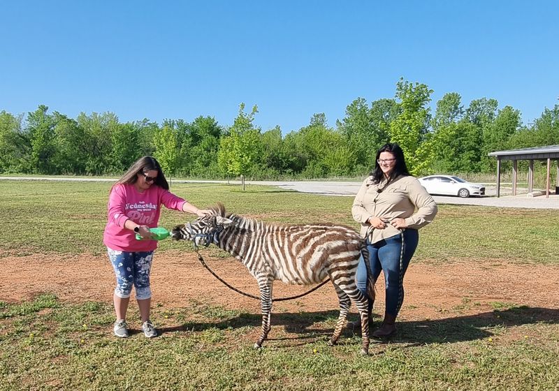 A Wildlife Park Tucked Into Oklahoma Farm Country A Wildlife Park Tucked Into Oklahoma Farm Country