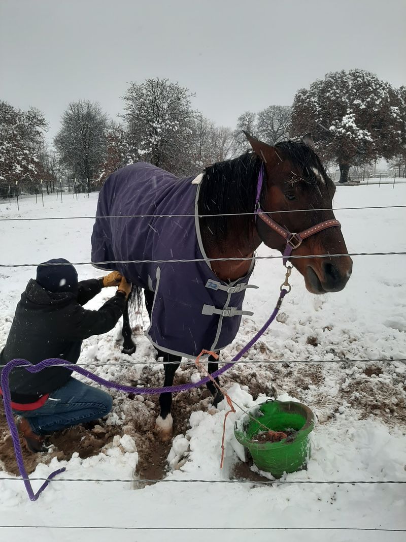 A Working Stable, Not a Petting Zoo A Working Stable, Not a Petting Zoo