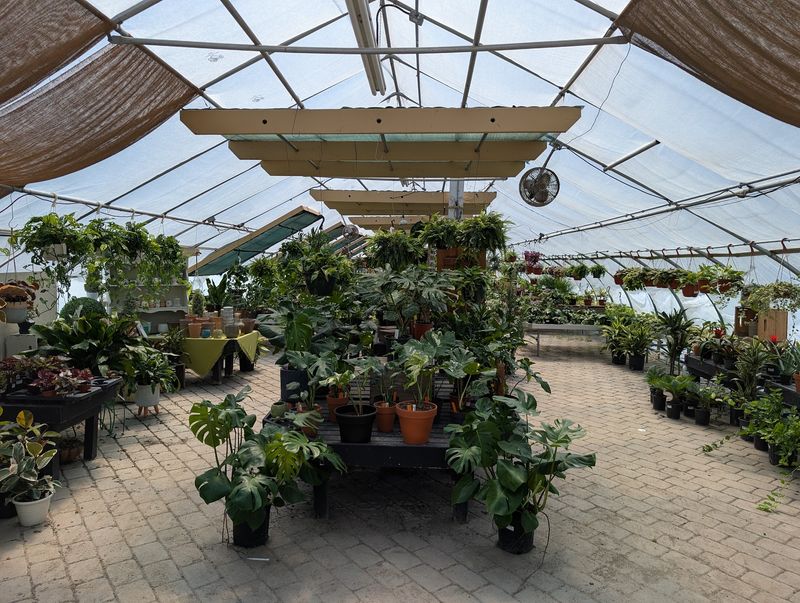 A Year-Round Houseplant Greenhouse Keeps Winter From Winning A Year-Round Houseplant Greenhouse Keeps Winter From Winning