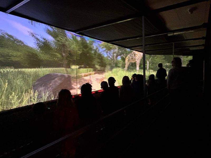 A Zoo Where Nobody Has To Clean A Single Cage