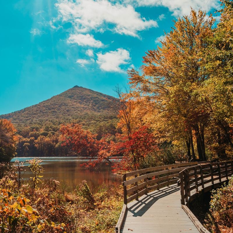 Abbott Lake Trail