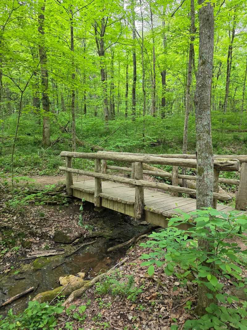Accessible Paths Mean More People Get The View