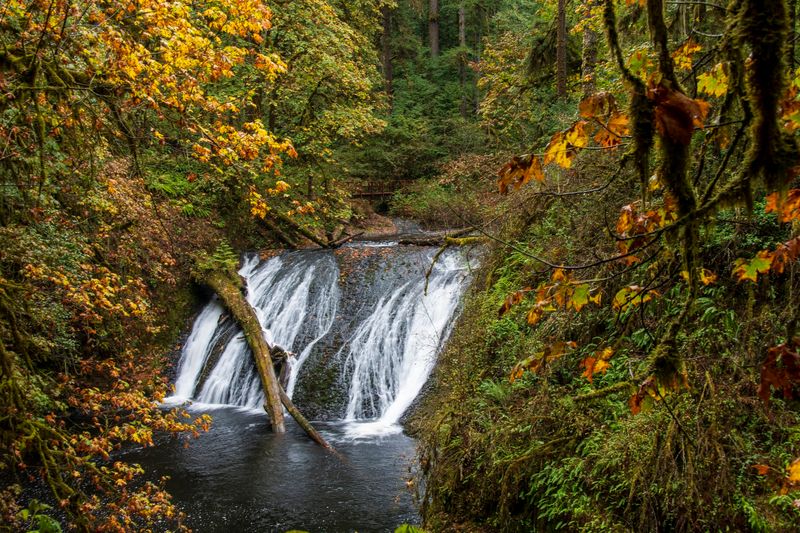 Silver Falls State Park Silver Falls State Park