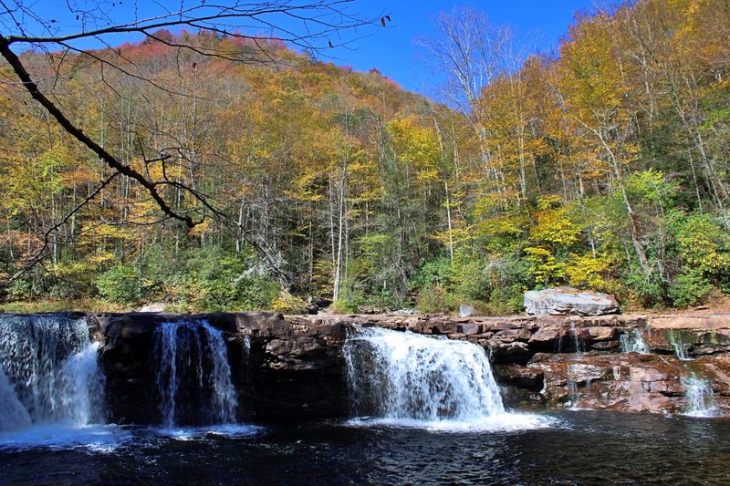 Along the Shavers Fork in Full Color Along the Shavers Fork in Full Color