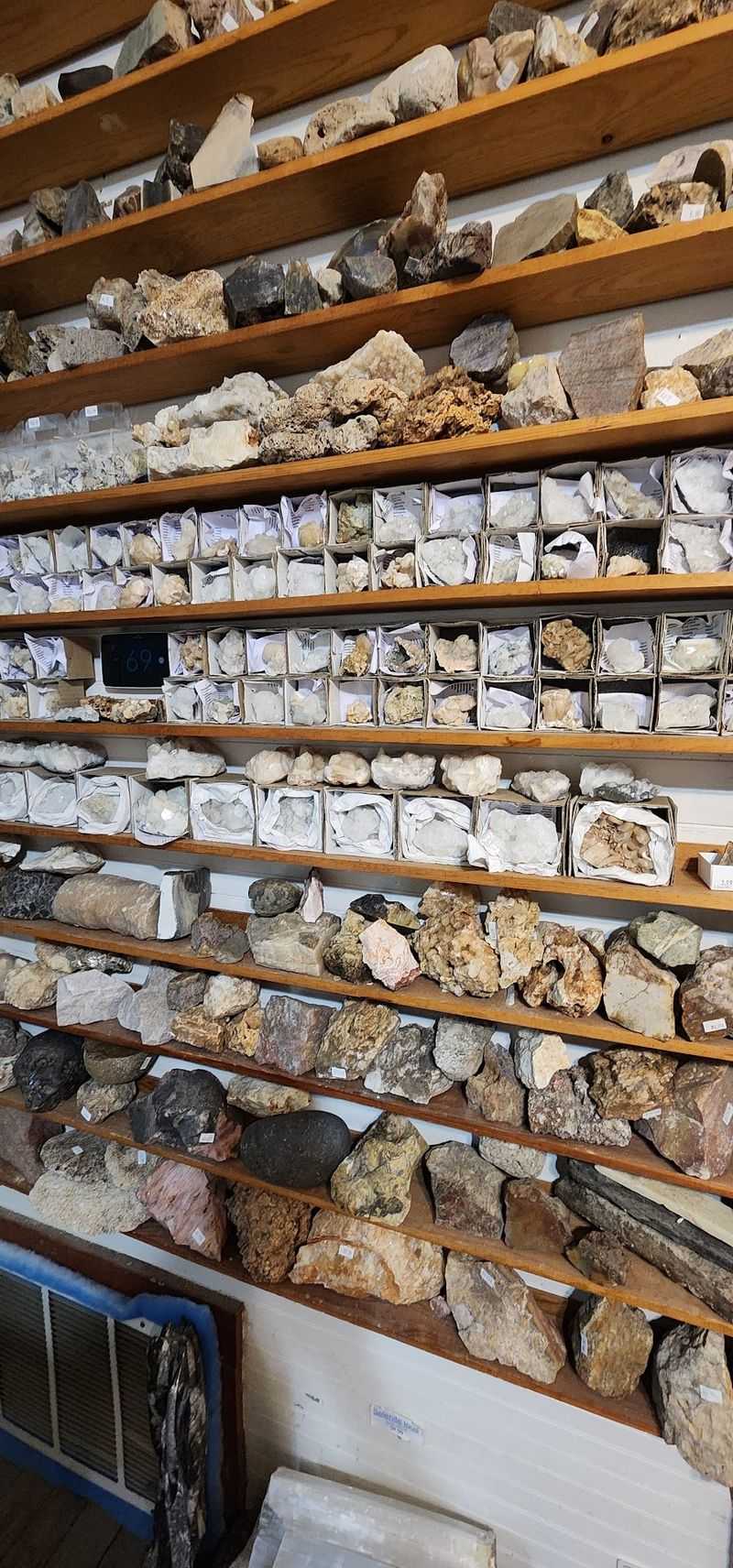 Ammonites and Trilobites Bring the Ancient Seas Ashore