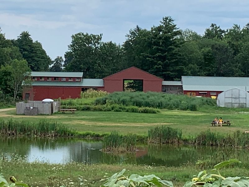An Old Dairy Farm With A Story Going Back To The 1740s