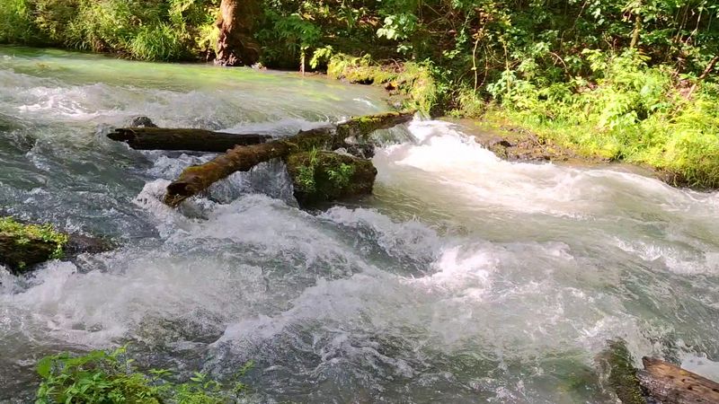 An Old Mill Story Hides Behind The Name