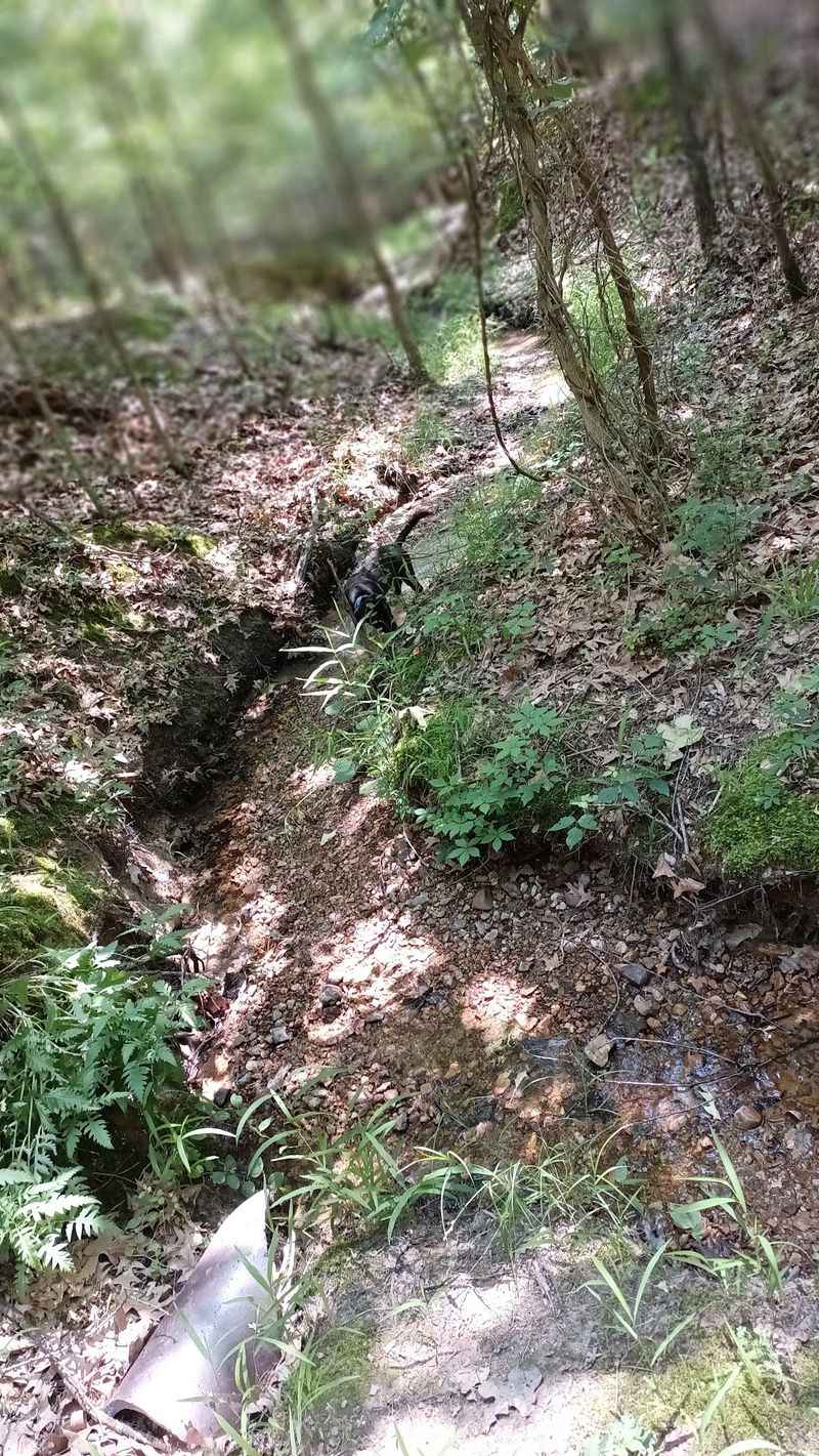 Ancient Soil Layers Show Off In Plain Sight Ancient Soil Layers Show Off In Plain Sight