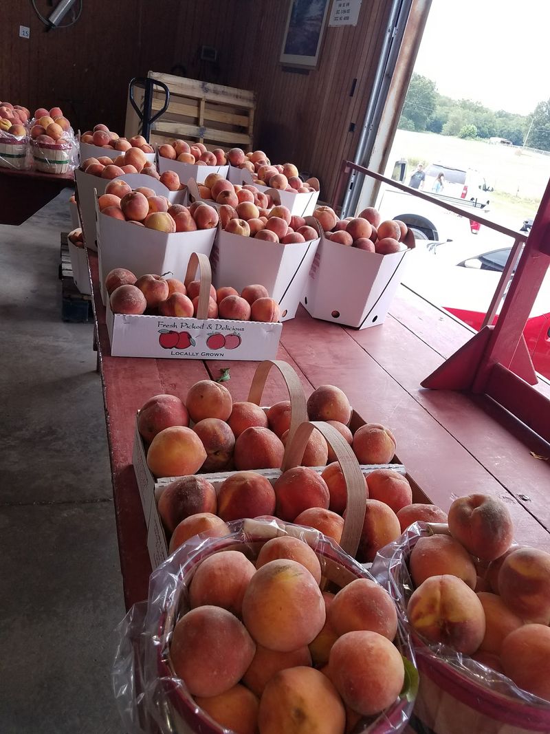 Apple Varieties Worth Reaching For