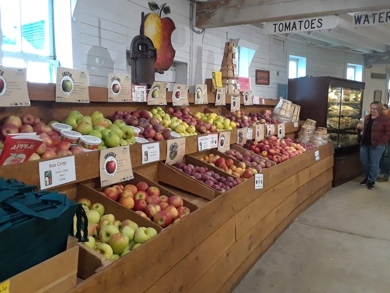 Apples Grown Right Next Door Make Choosing Hard