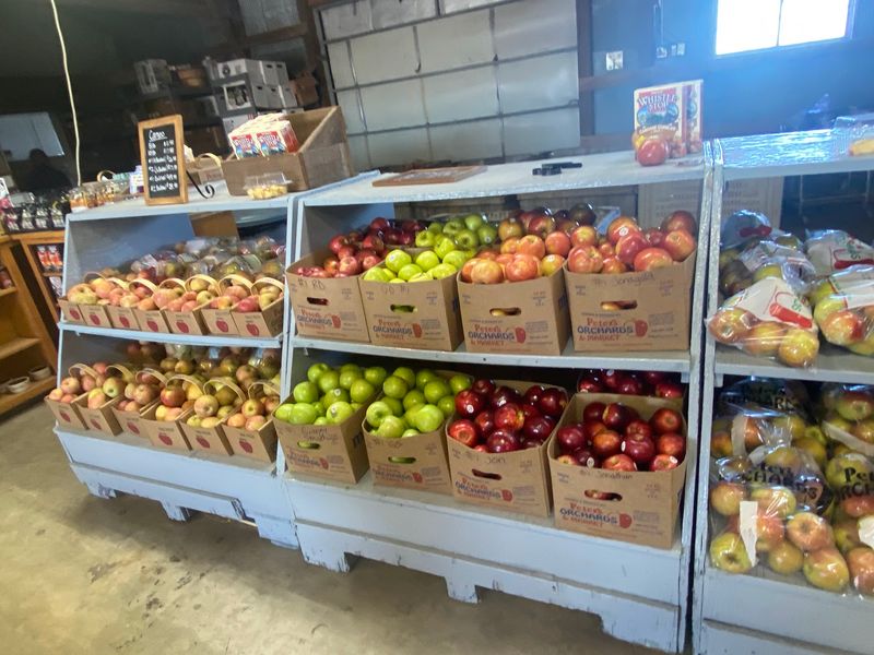 Apples Ranging From Heirlooms To Honeycrisp