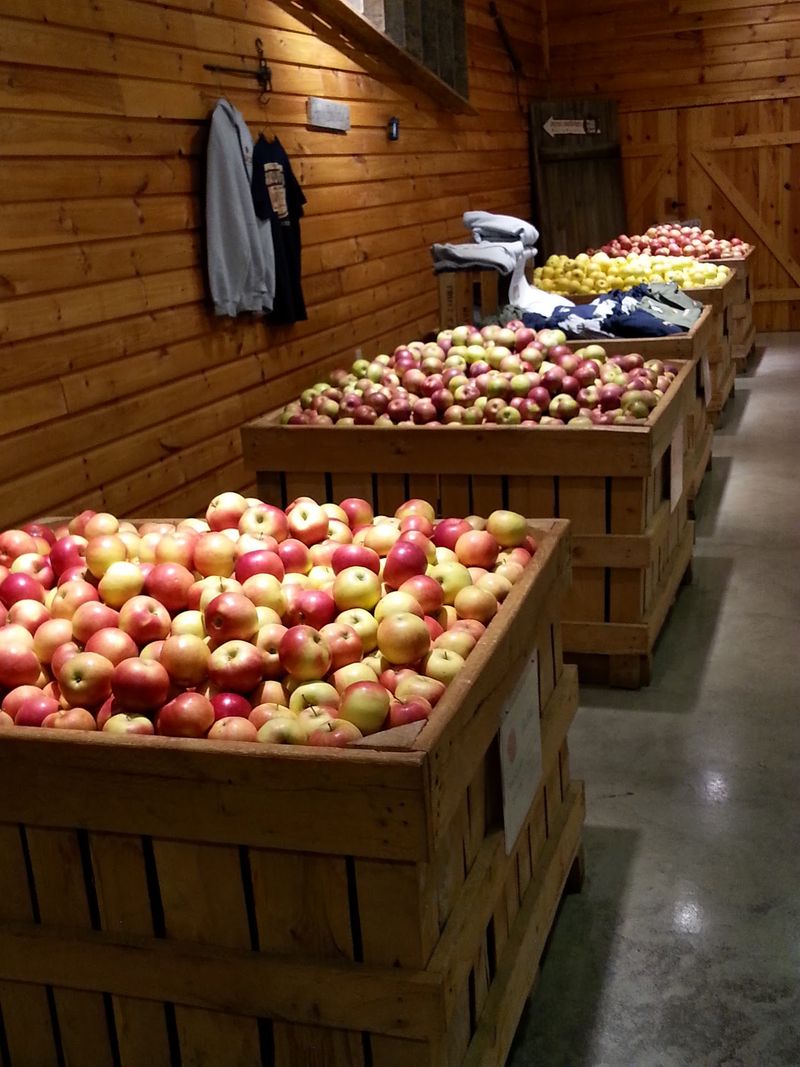 Apples Still Run the Show Here, and Rightly So