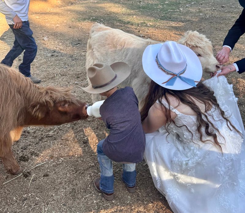 Baby Calves Might Steal The Show Right Out From Under Mom Baby Calves Might Steal The Show Right Out From Under Mom