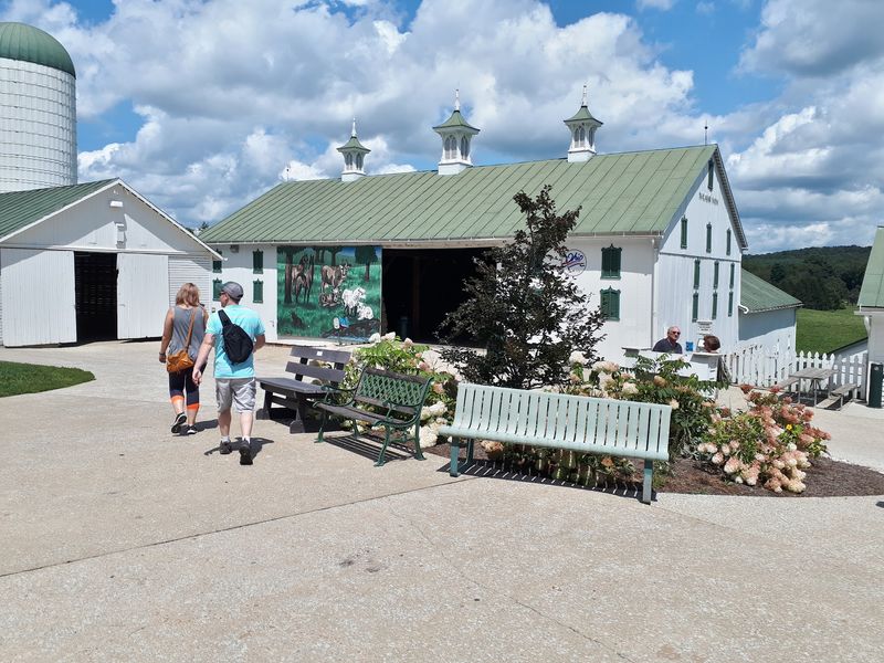 Barn Life And Friendly Animals