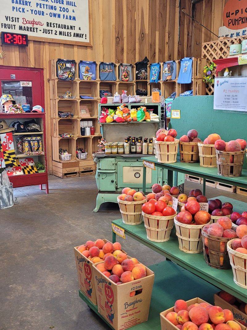 Baugher's Orchards, Farm & Bakery
