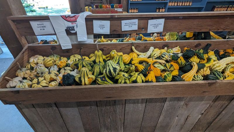 Berries, Veggies, And A Whole Lot More