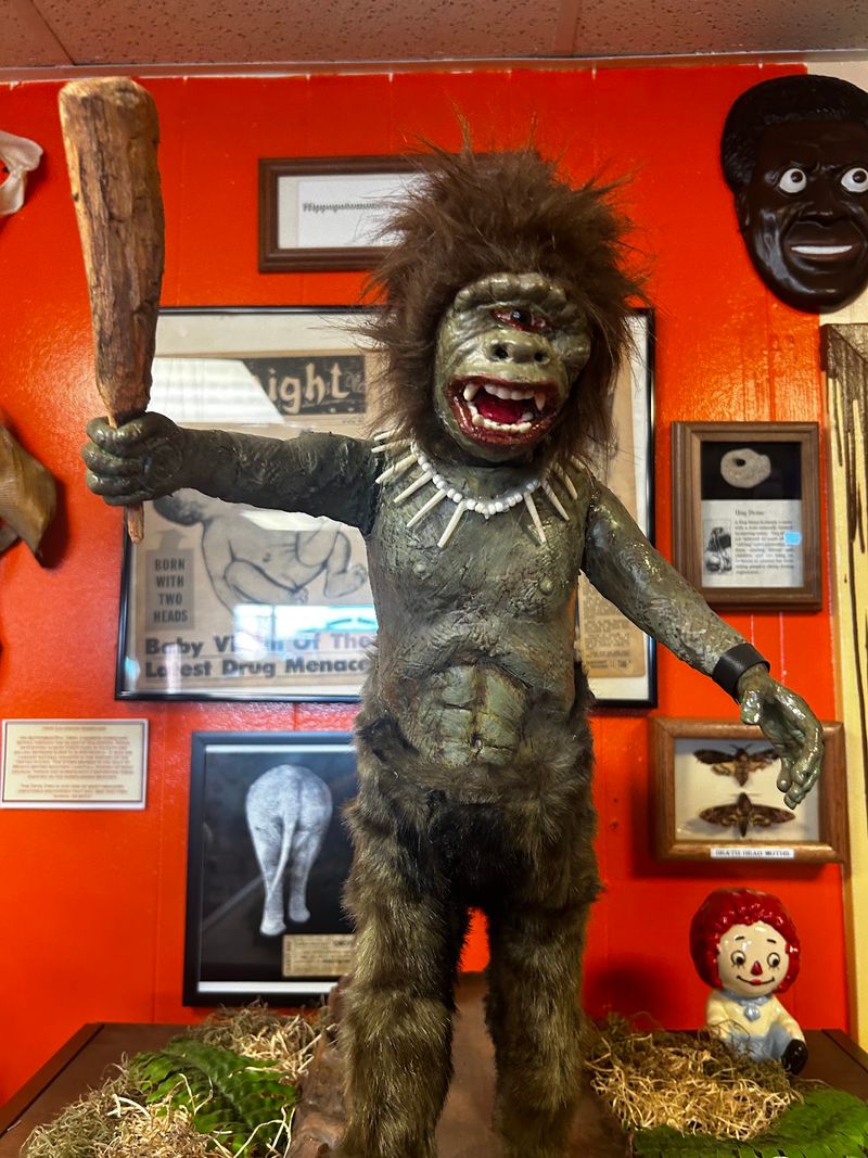 Bigfoot Fans Get an Entire Section to Call Their Own