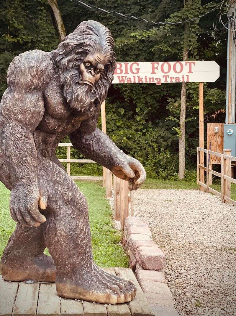 Bigfoot Trail, Cave Yoga, and Shiny Souvenirs Bigfoot Trail, Cave Yoga, and Shiny Souvenirs