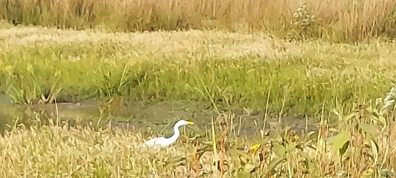 Birding Country With 191 Species and Counting