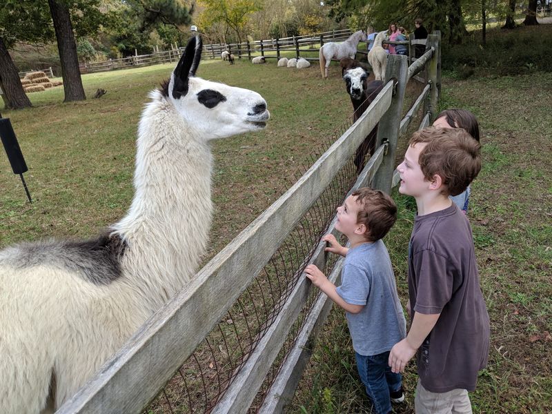 Bluebird Gap Farm, Hampton, Virginia