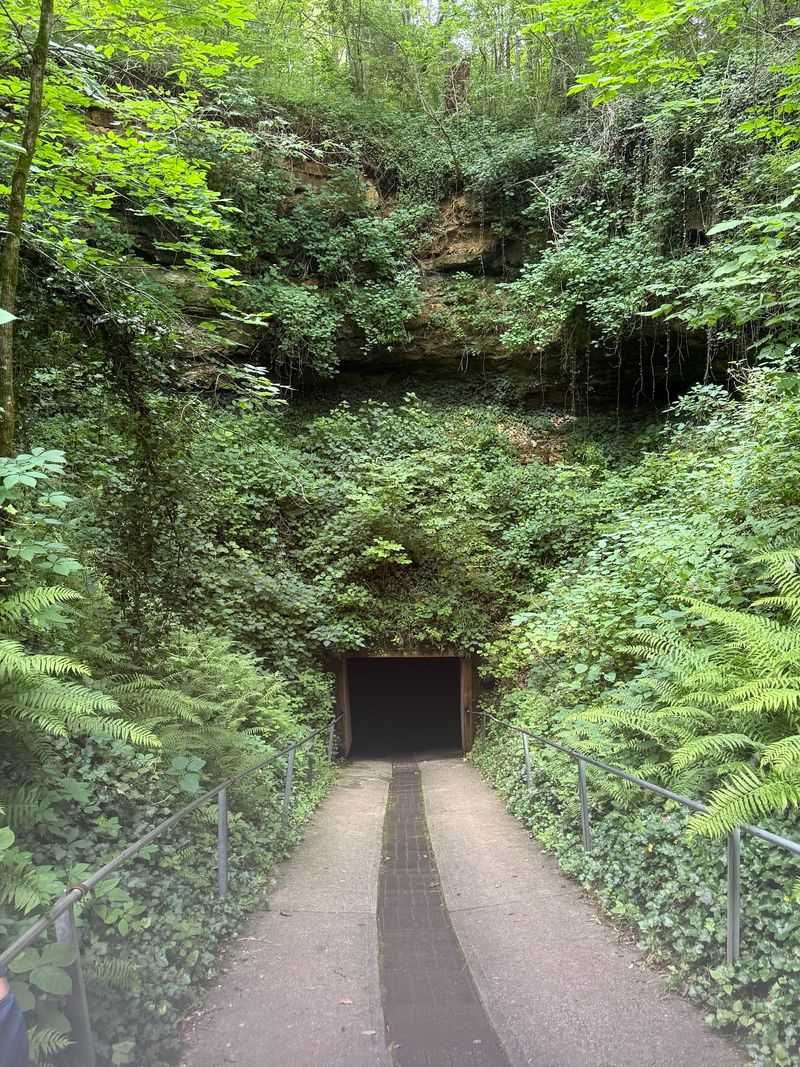 Bluespring Caverns Park