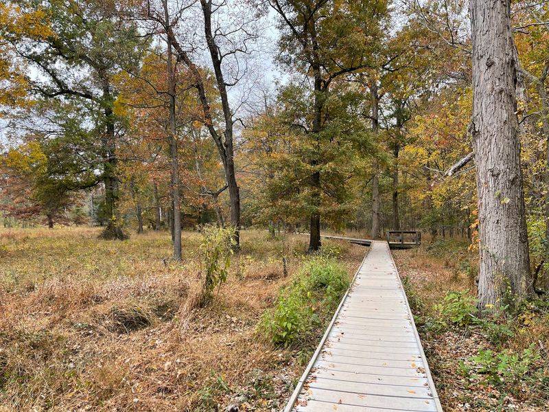 Boardwalk Over the Wetlands Boardwalk Over the Wetlands