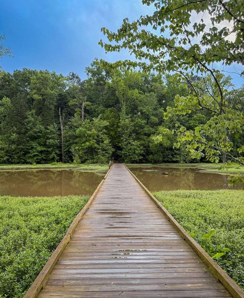 Boardwalks Over Still Water