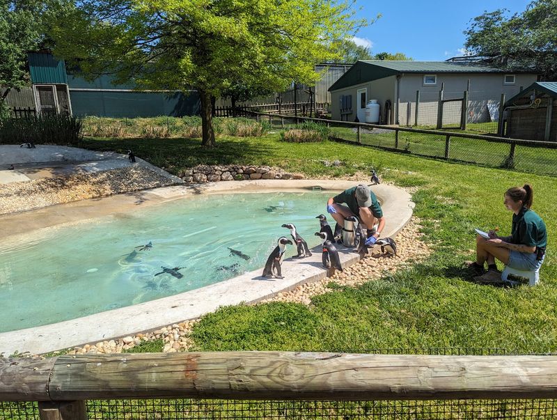 Book A Behind-The-Scenes Date With A Sloth Or Rhino Book A Behind-The-Scenes Date With A Sloth Or Rhino
